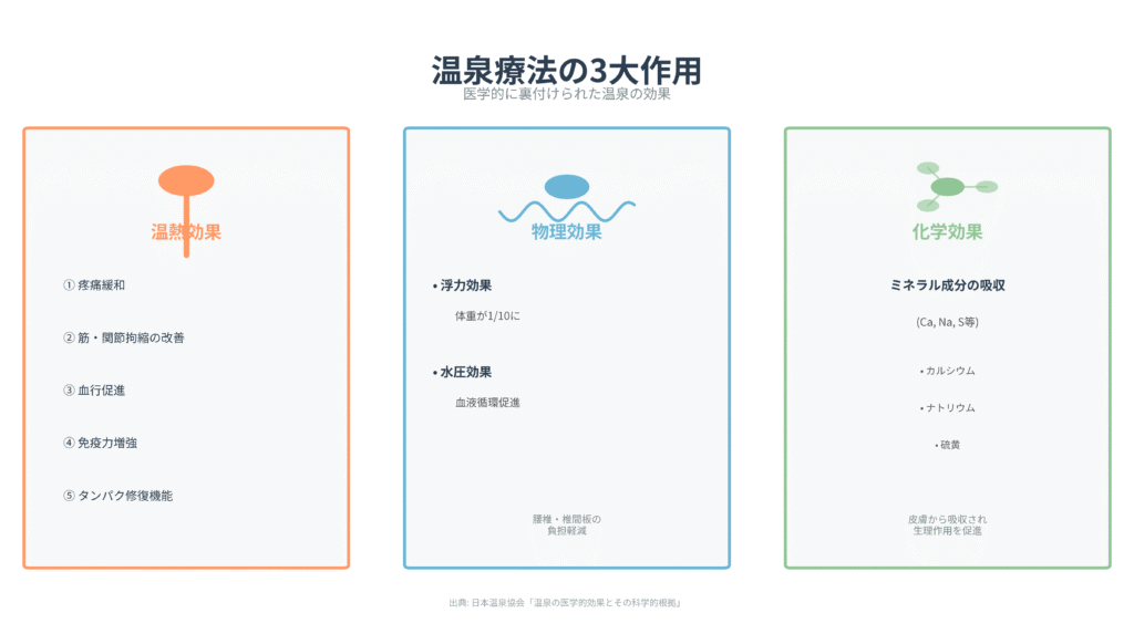 温泉療法の3大作用を示すインフォグラフィック。左から温熱効果（疼痛緩和、筋・関節拘縮の改善、血行促進、免疫力増強、タンパク修復機能）、物理効果（浮力効果で体重が10分の1に、水圧効果で血液循環促進）、化学効果（ミネラル成分の吸収）の3つのセクションで構成